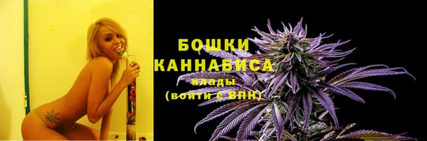 молекула духа Лихославль